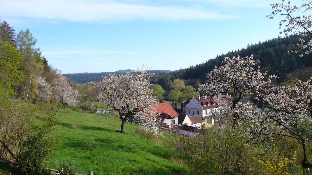 Penzion Padrtuv Mlyn Třebíč Extérieur photo